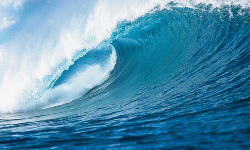 国产一区二区三区高清在线观看